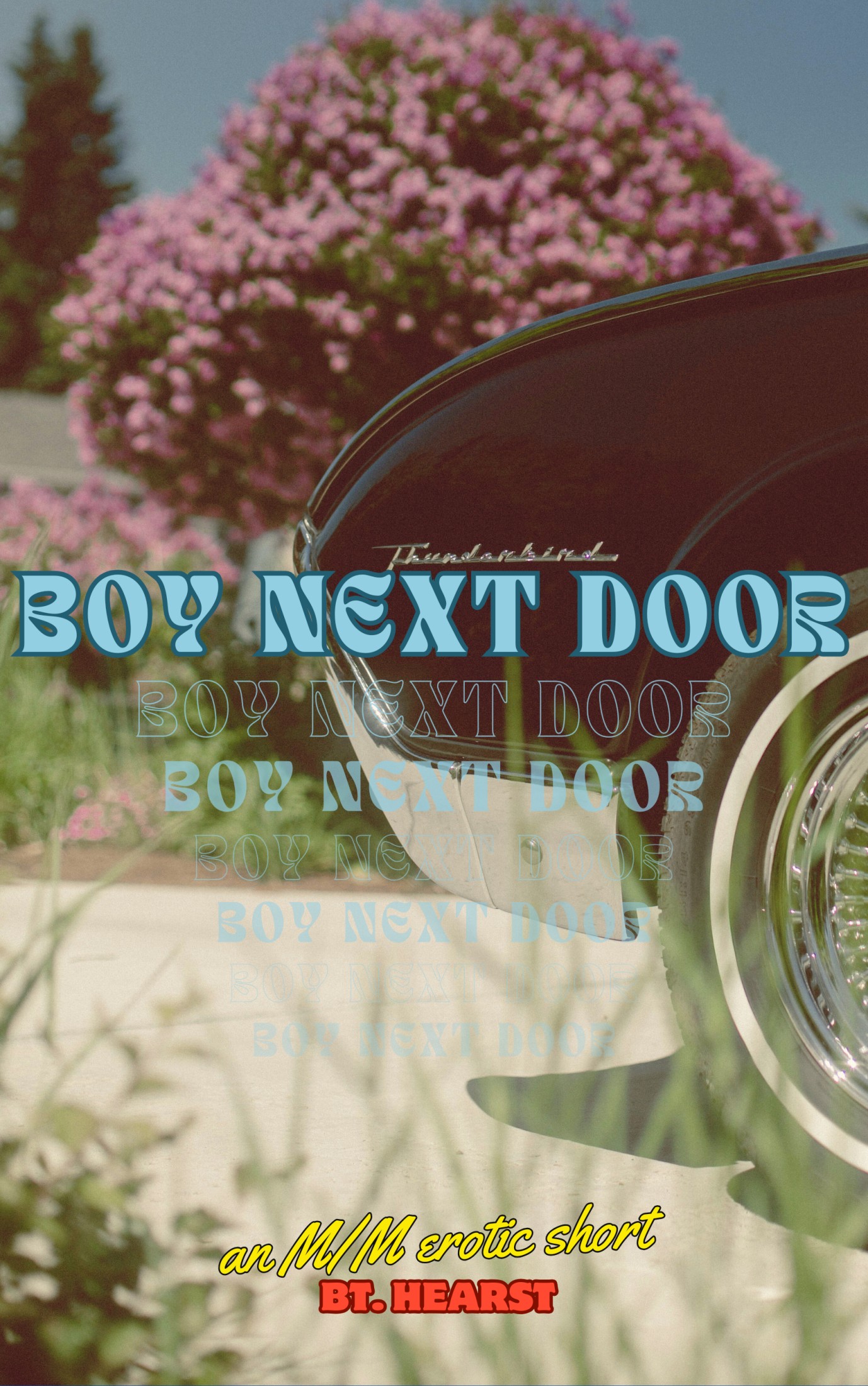 Boy Next Door by Bt. Hearst